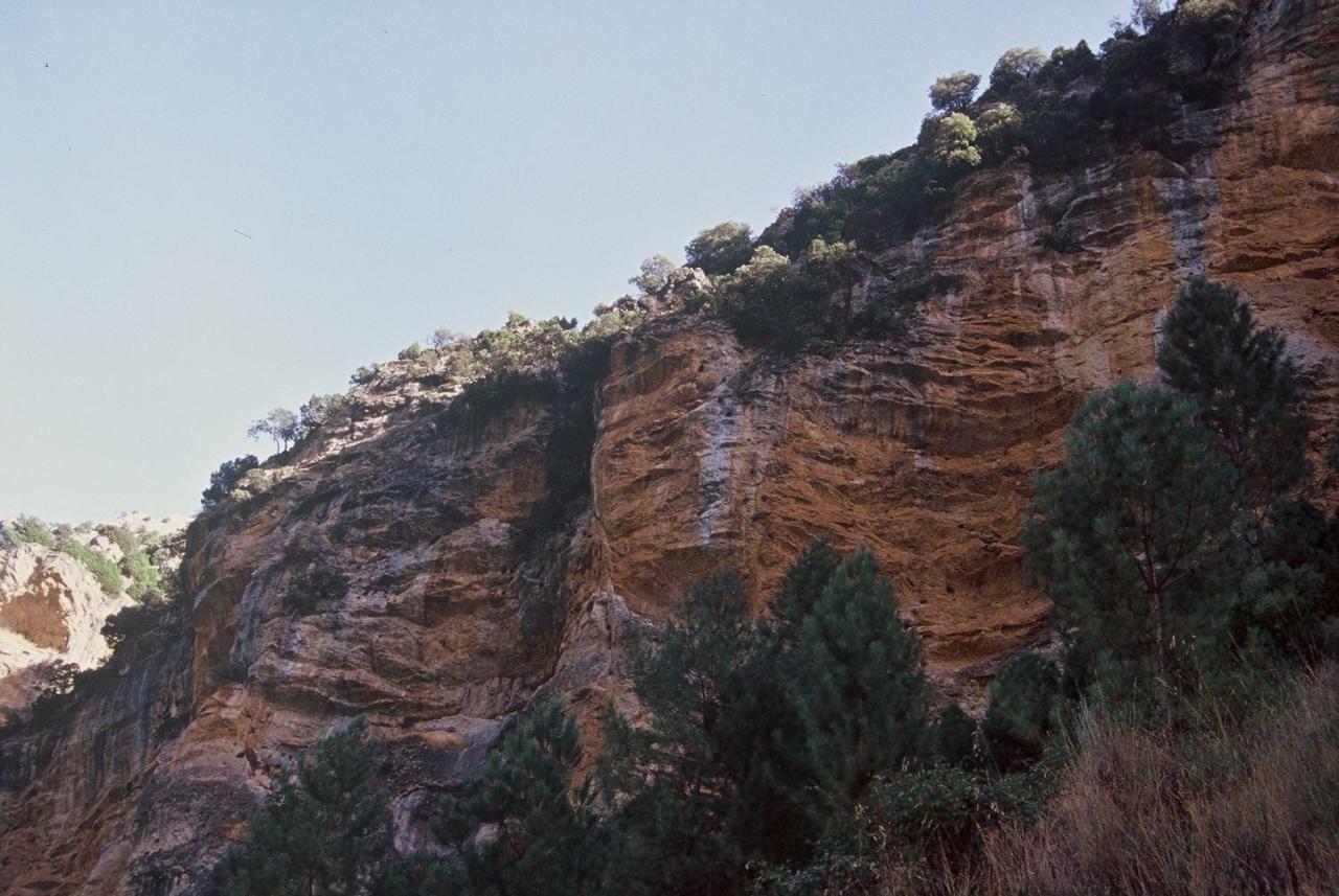 Casas Rurales Mirador Del Mundo Yeste Exteriör bild