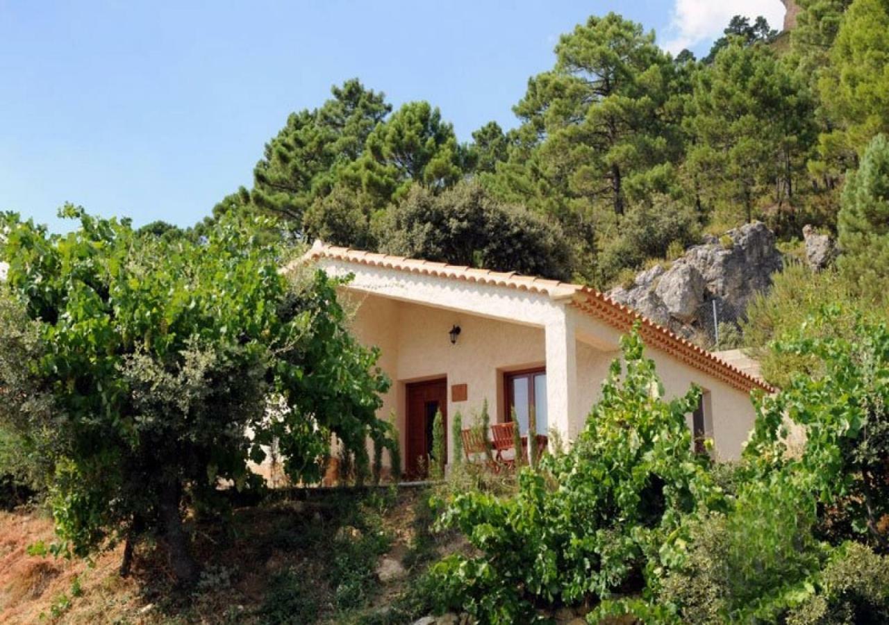 Casas Rurales Mirador Del Mundo Yeste Exteriör bild